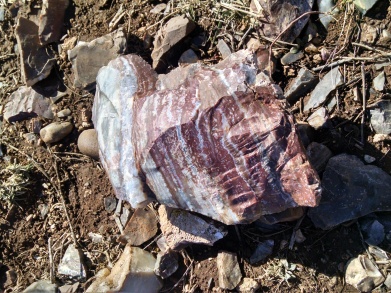 Another example of Alibates Flint (silicified dolomite) at Alibates Flint Quarry National Monument